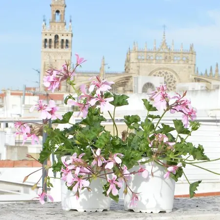 Homeyseville-Amazing Penthouse Giralda Views 8 Pax, Parking Optional Buitenkant foto